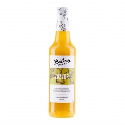 Zázvorový sirup Báťkovy sirupy 500 ml