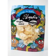 Lyofio Ananas plátky lyofilizované (mrazem sušené) 20 g