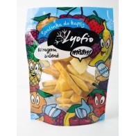 Lyofio Mango plátky lyofilizované (mrazem sušené) 20 g