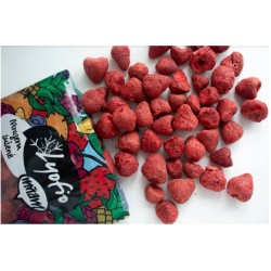 Lyofio Jahody celé lyofilizované (mrazem sušené) 100 g