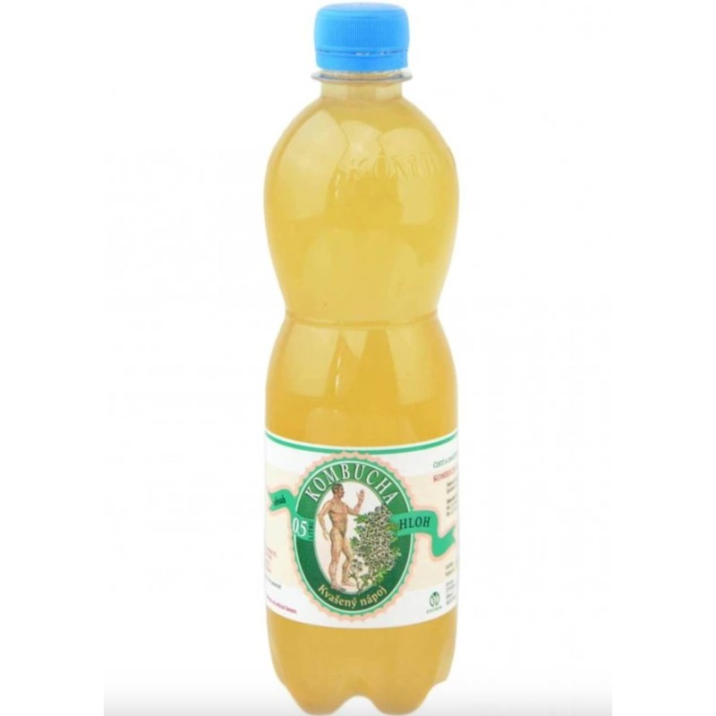 Kombucha hloh - Stevikom 500ml