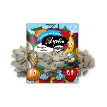 Lyofio Kokos plátky lyofilizované (mrazem sušené) 20 g