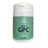 Tablety obsahují látku Alpha GPC - L-alpha-glycerofosfocholin (GPC), tato speciální látka je jedna z nejsilnějších nootropních doplňků.
Dále obsahují uhličitan hořečnatý a stearan hořečnatý, bez kterých by se alpha GPC rychle přeměnila na gel.
